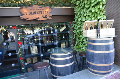 Wine Violin Cellar